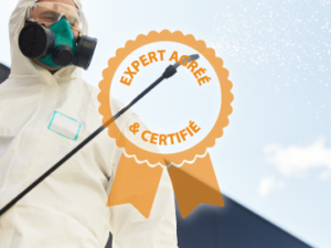 expert agréé et certifié anti-nuisible haut de france