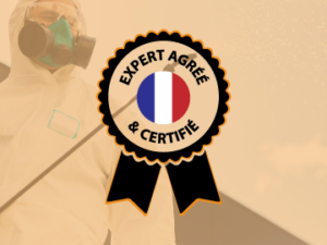expert agréé et certifié anti-nuisible haut de france