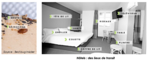 punaise de lit