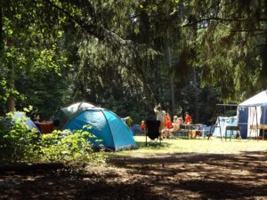 anti parasites camping lille