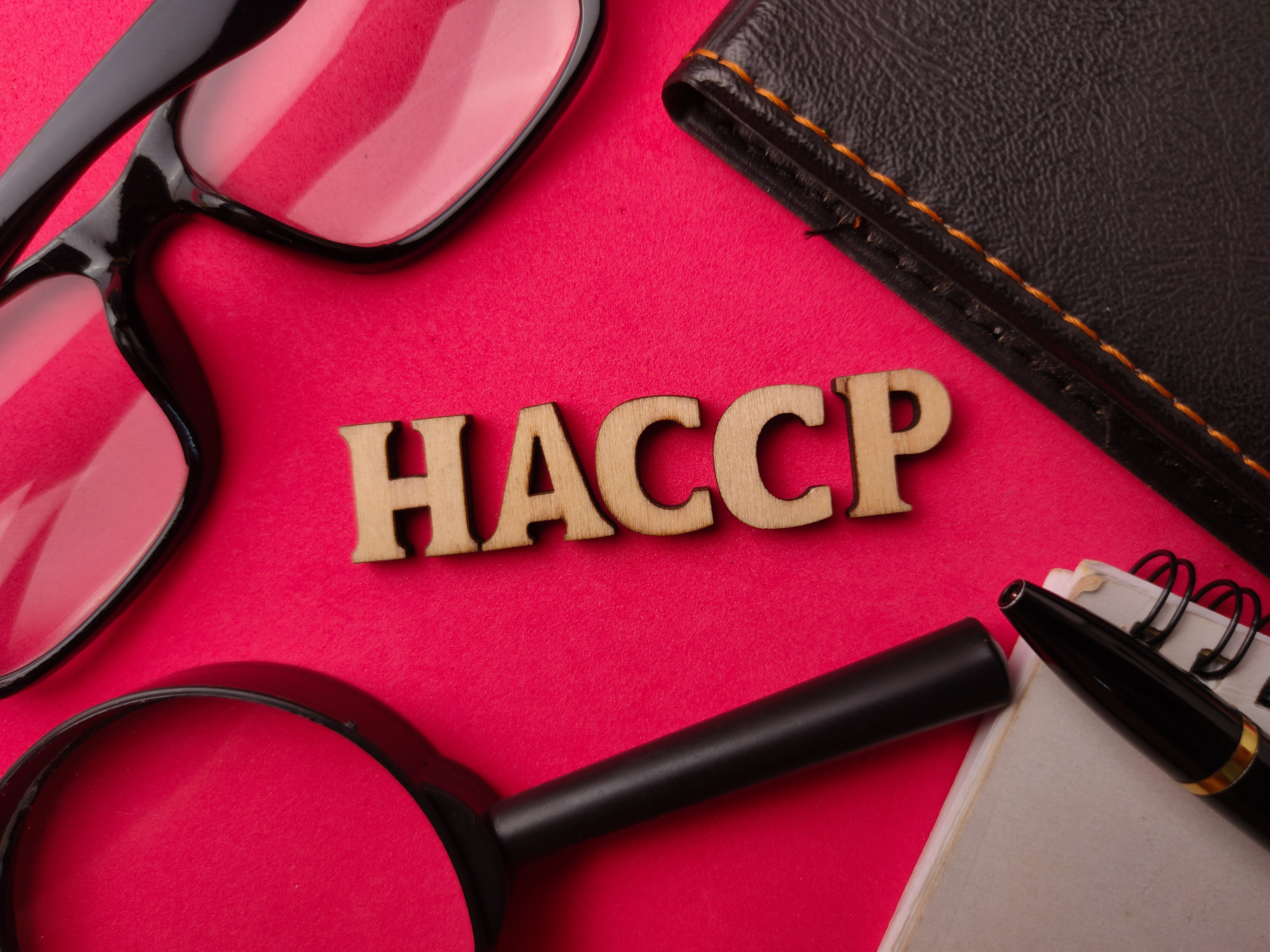Carnet HACCP avec loupe et stylo sur fond rouge, matériel de contrôle sanitaire