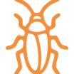 désinsectisation