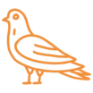 piégeage taupes et volatiles