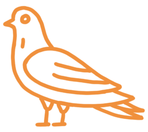 icone pigeon